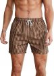 Men's Drawstring Waist Swim Trunks Striped Print Pocket Shorts